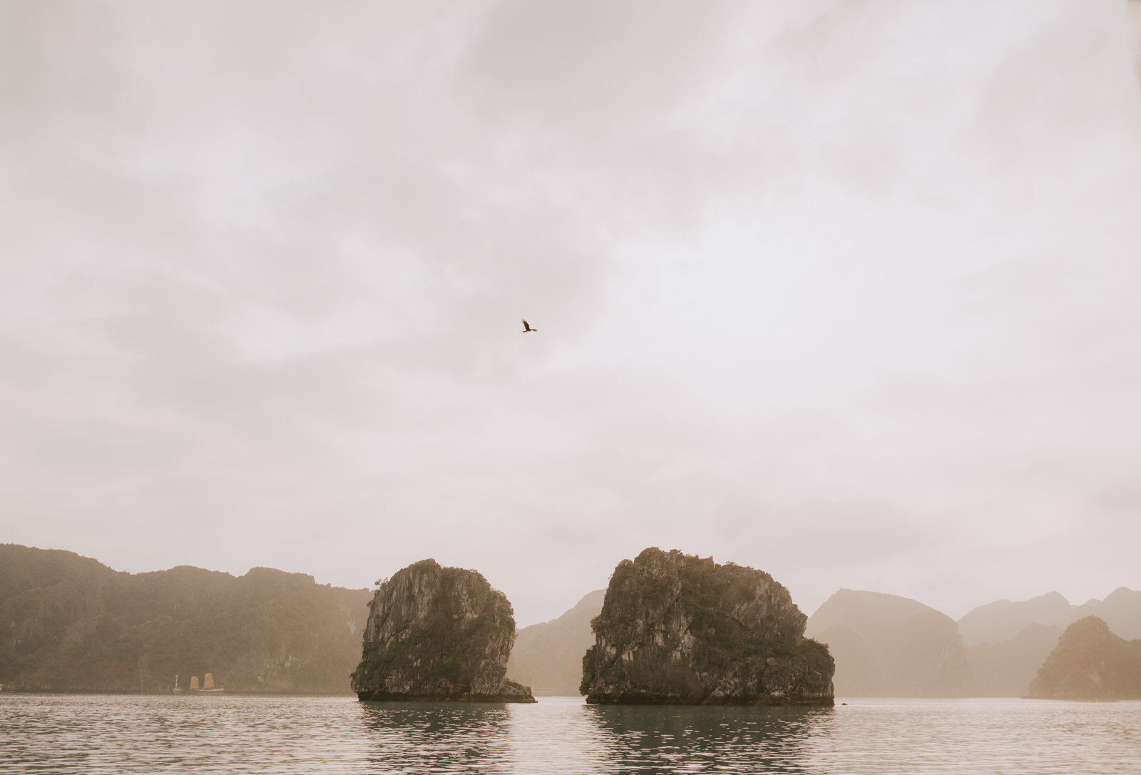 T + R | Bhaya Cruise, Ha Long Bay, Viet Nam 28