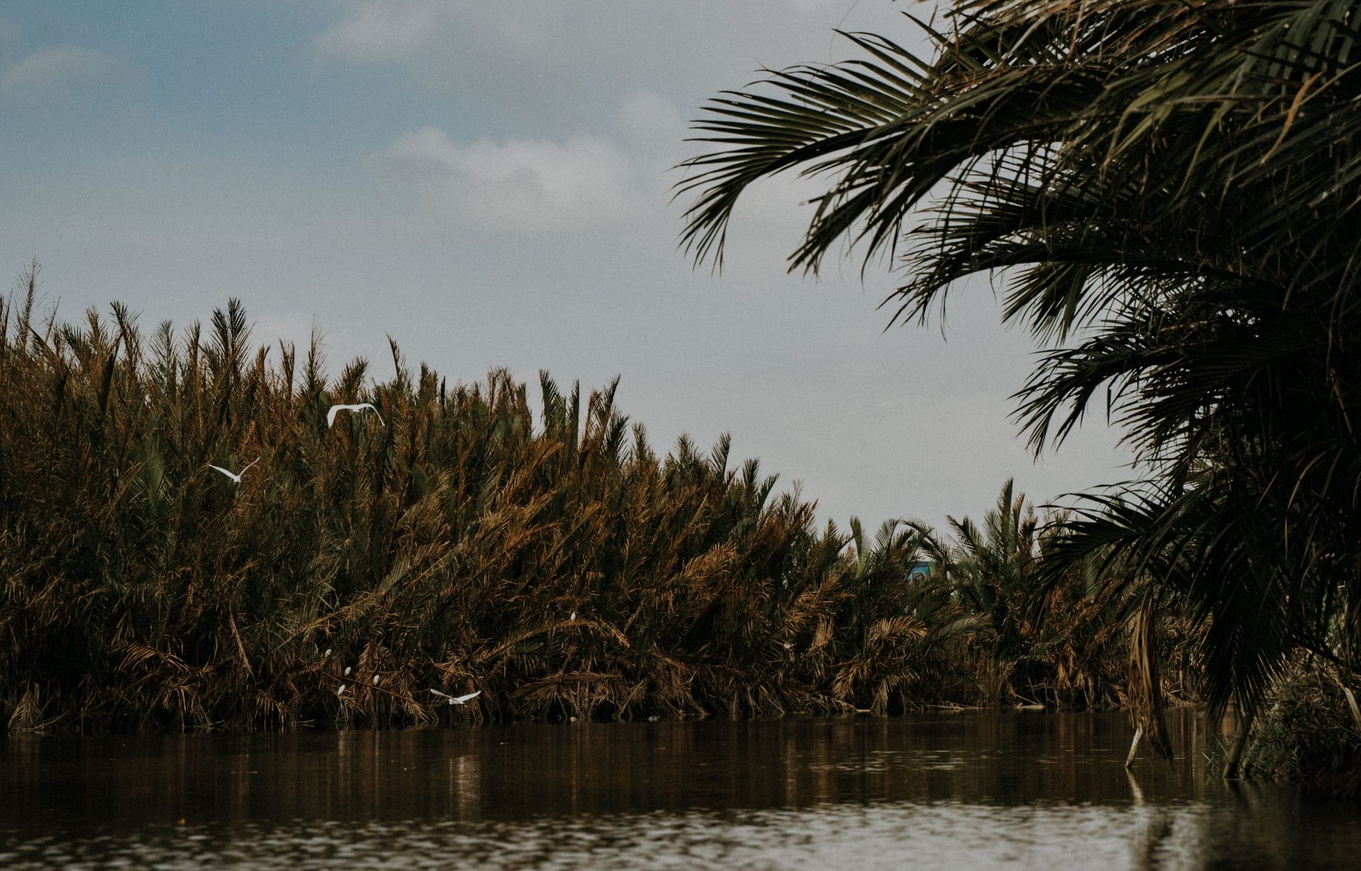 Heidi + Ruby | Intimate Wedding in HoiAn VietNam. 97