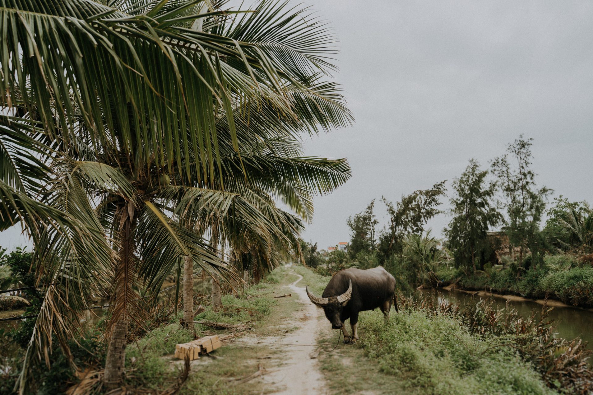 Heidi + Ruby | Intimate Wedding in HoiAn VietNam. 93