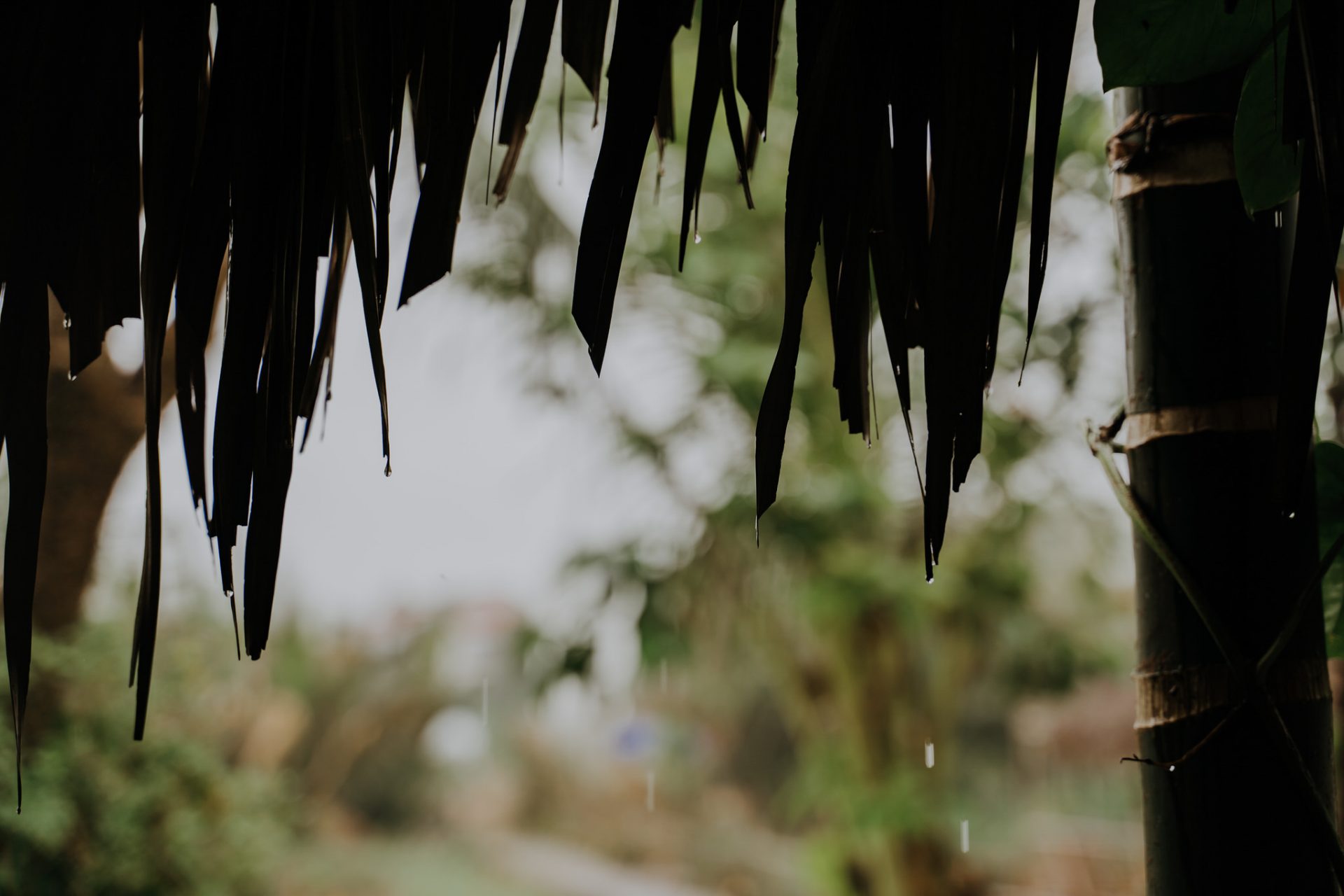 Heidi + Ruby | Intimate Wedding in HoiAn VietNam. 48